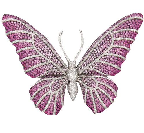 Butterfly-logo
